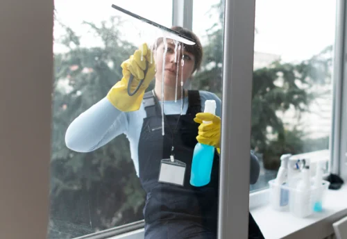 Nettoyage de vitres intérieures et extérieures à Châteauvieux